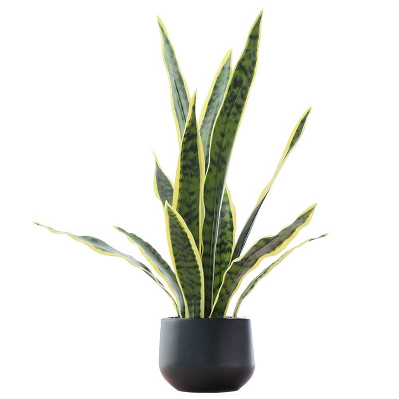 Bird Fiy Artificial Snake Plant 22.5" Faux Agave Fake Sansevieria Artificial Potted Plants for Indoor and Outdoor Home Office DÃ©cor - Image 1